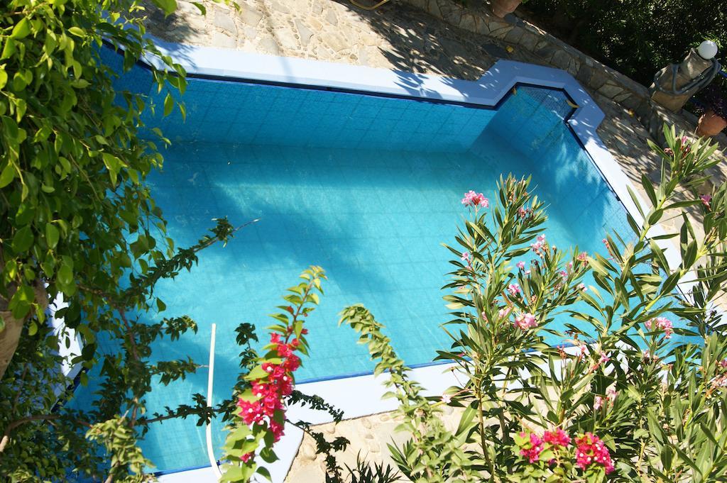 Lofos Hotel Плакиас Экстерьер фото